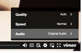 player audio selected.png